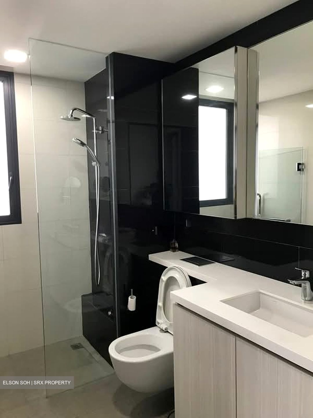 Lorong 4 Toa Payoh (D12), Condominium #551384291